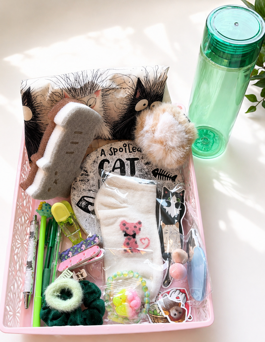 1 Scoop Cat Box | Cat-Themed Mystery Box
