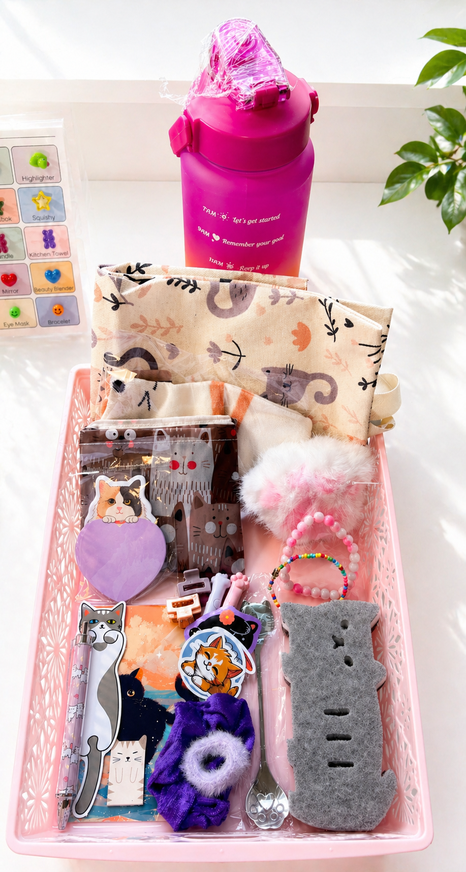 1 Scoop Cat Box | Cat-Themed Mystery Box
