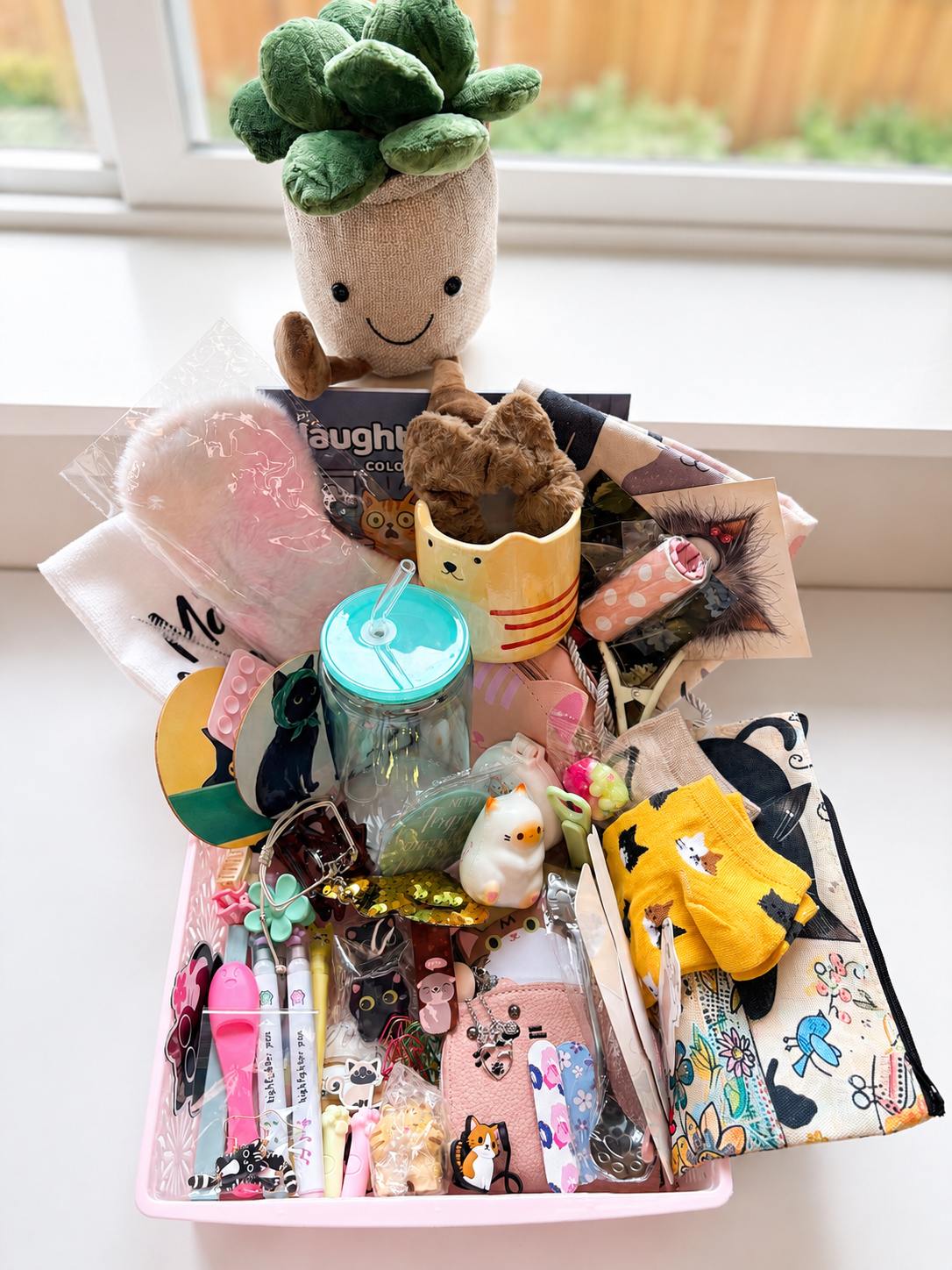 🐱 Cat-Themed Mystery Box 🐱