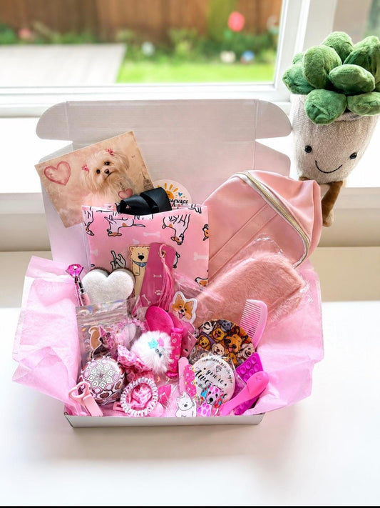 🐱 Cat-Themed Mystery Box 🐱