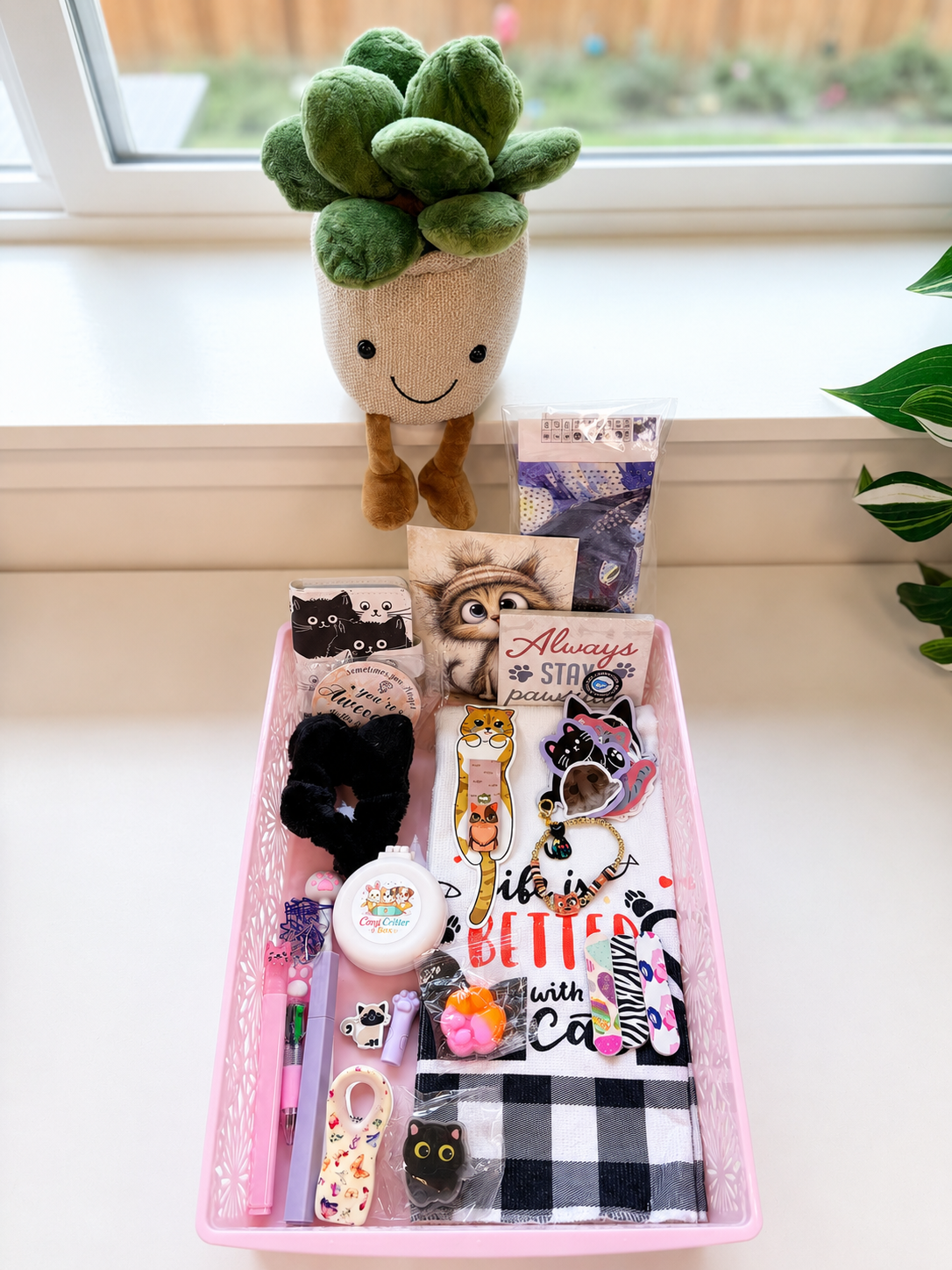 🐱 Cat-Themed Mystery Box 🐱