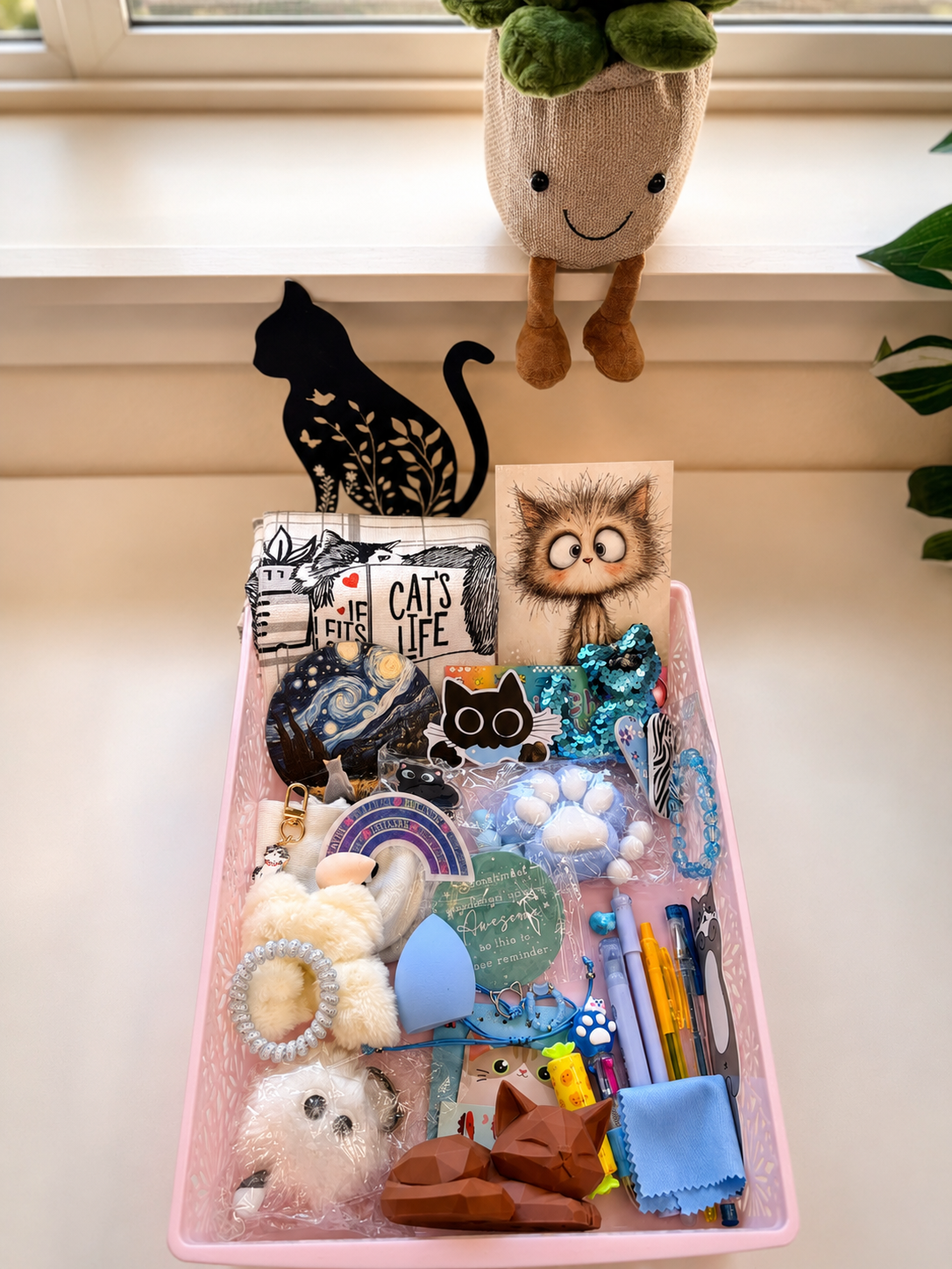 🐱 Cat-Themed Mystery Box 🐱