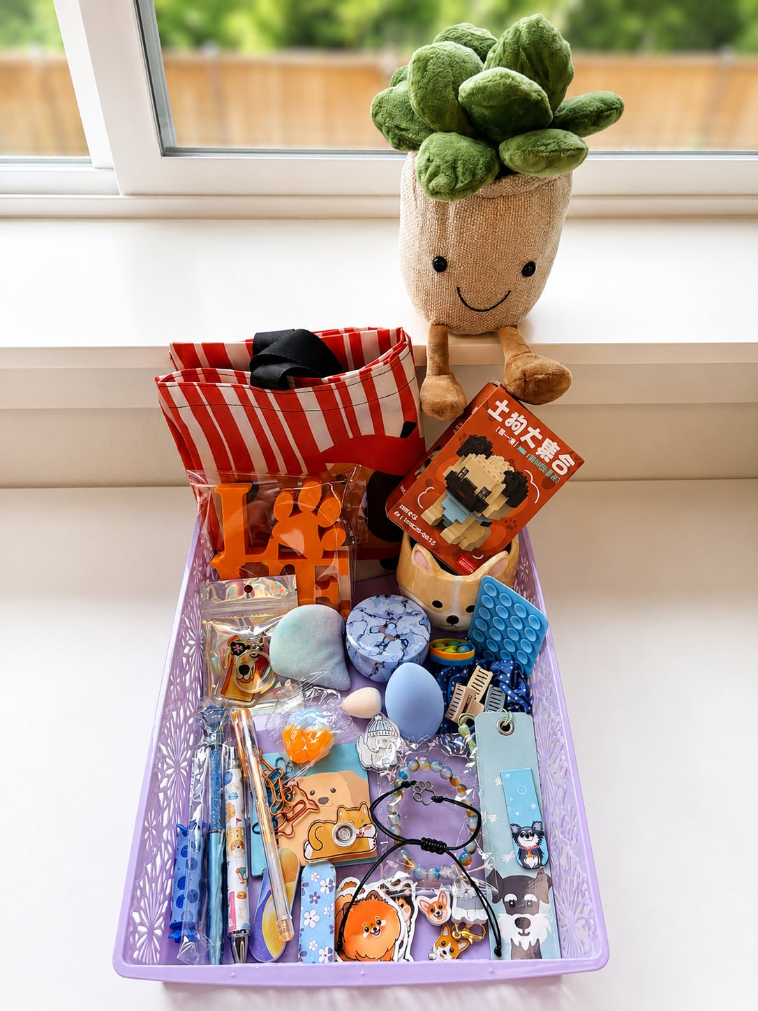 🐶 Dog-Themed Mystery Box 🐶