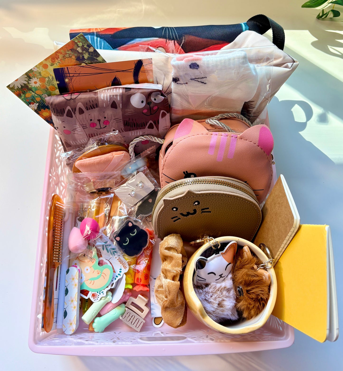 🐱 Cat-Themed Mystery Box 🐱