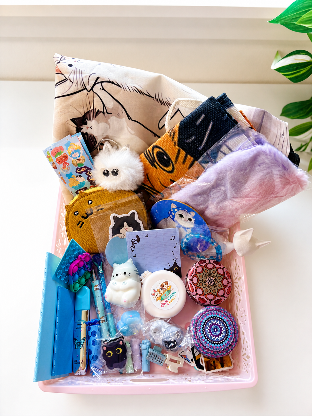 🐱 Cat-Themed Mystery Box 🐱