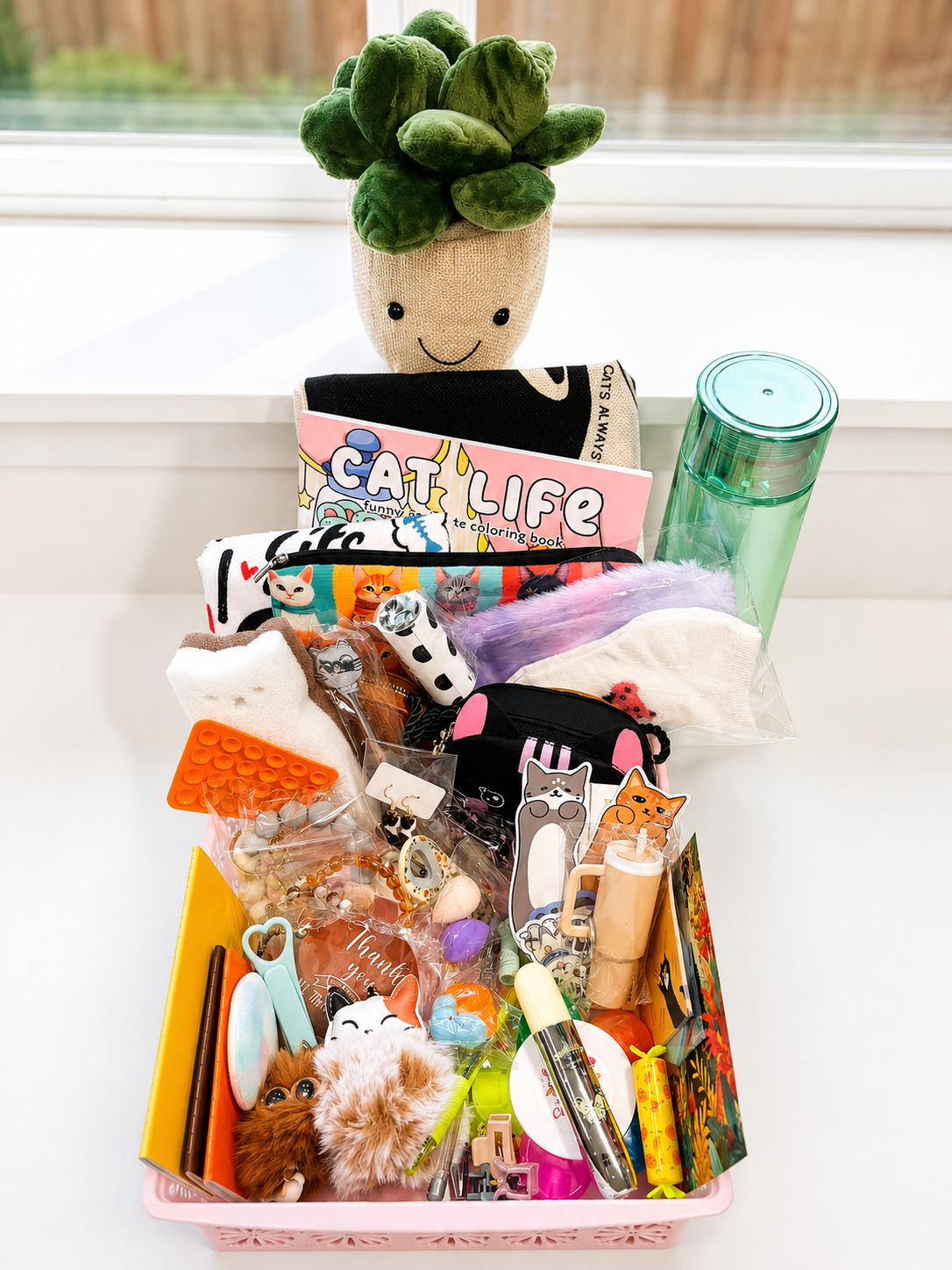 🐱 Cat-Themed Mystery Box 🐱