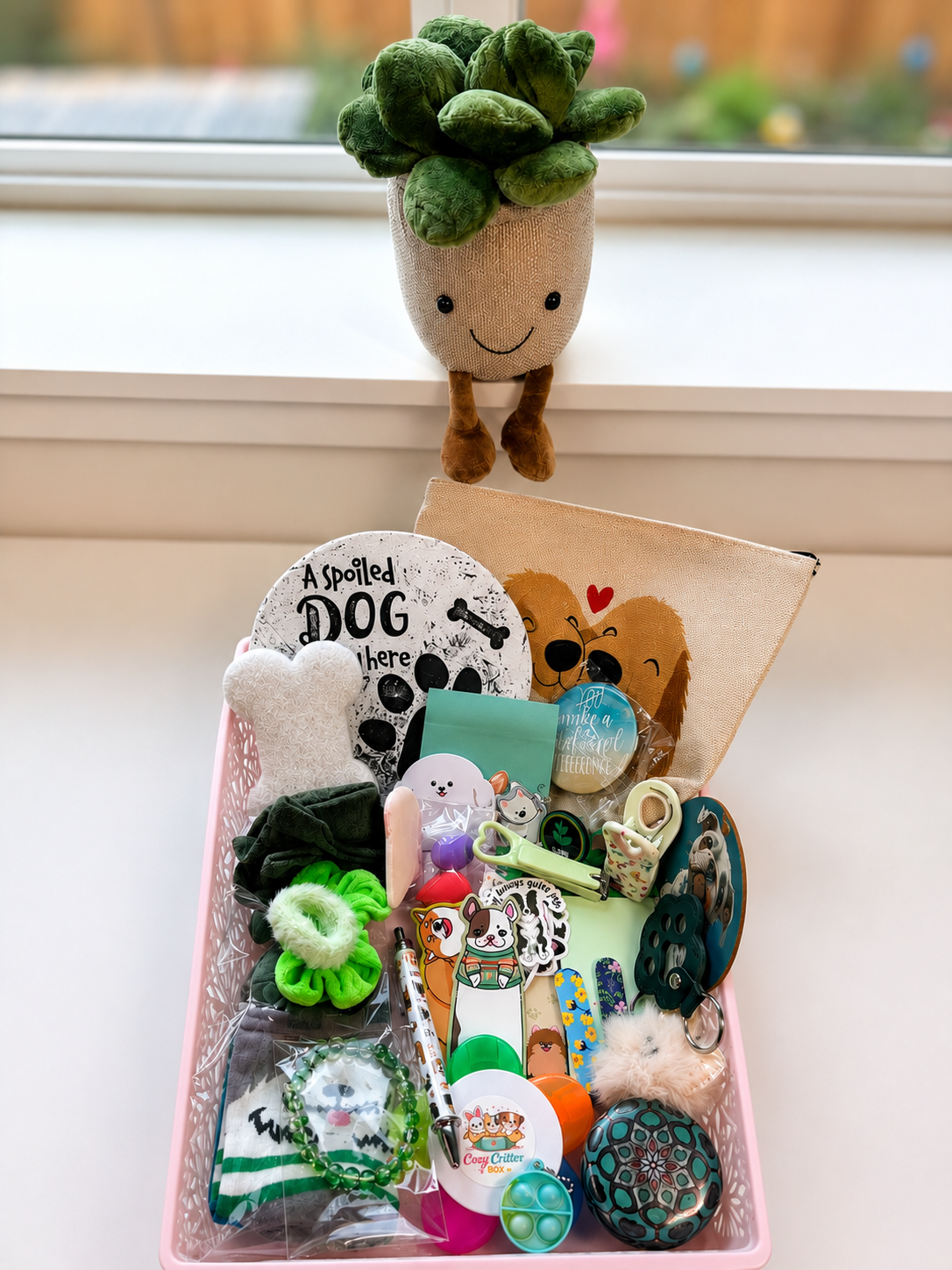 🐶 Dog-Themed Mystery Box 🐶