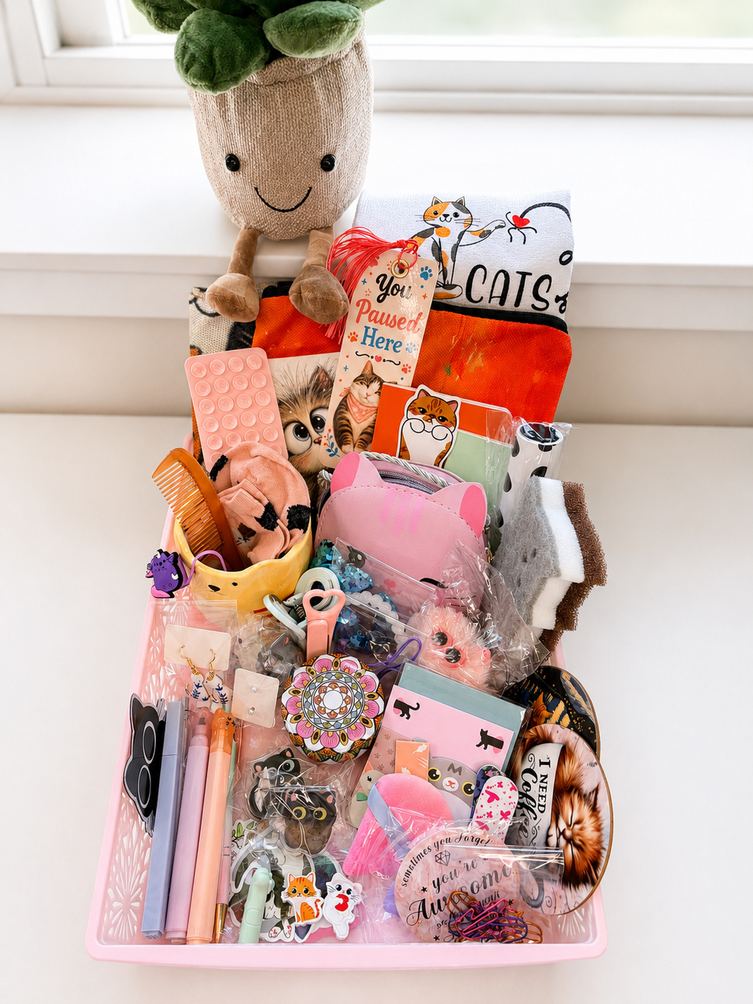 🐱 Cat-Themed Mystery Box 🐱